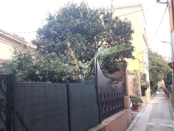 Apartament Les Violettes Mentona Zewnętrze zdjęcie