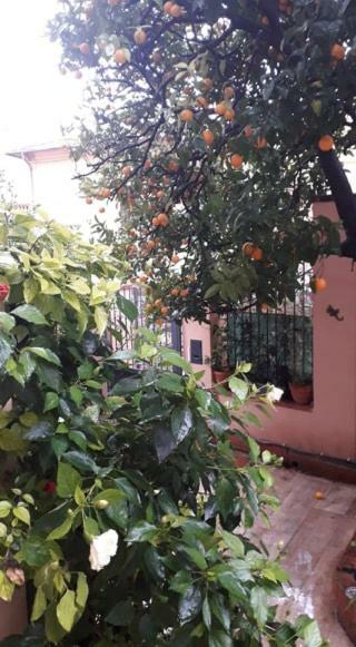 Apartament Les Violettes Mentona Zewnętrze zdjęcie