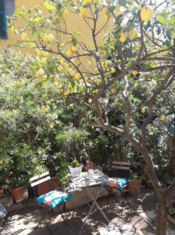 Apartament Les Violettes Mentona Zewnętrze zdjęcie